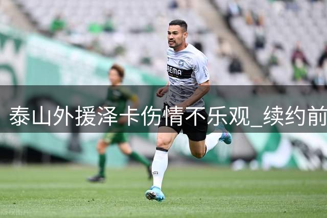泰山外援泽卡伤情不乐观 续约前景存疑